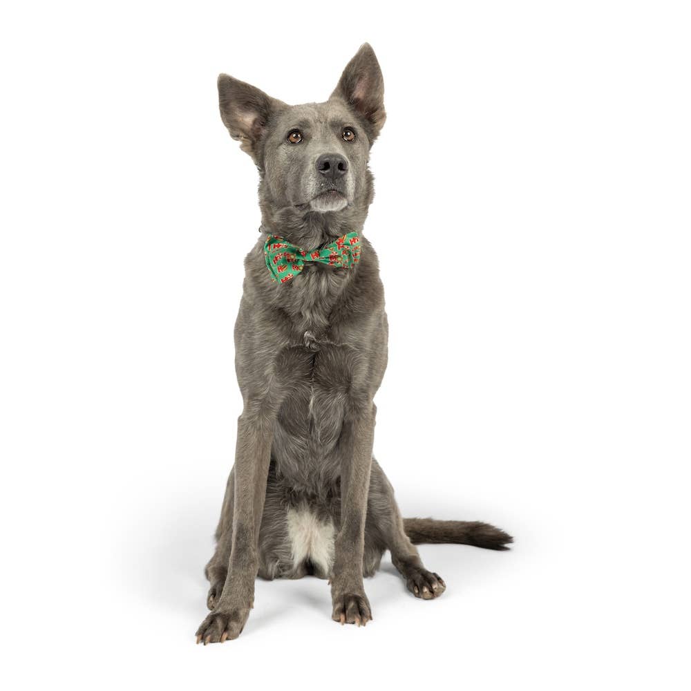 Huxley & Kent – Großhandel Fliege für Haustiere – Katze/Hund – Ho Ho Ho Fliege1