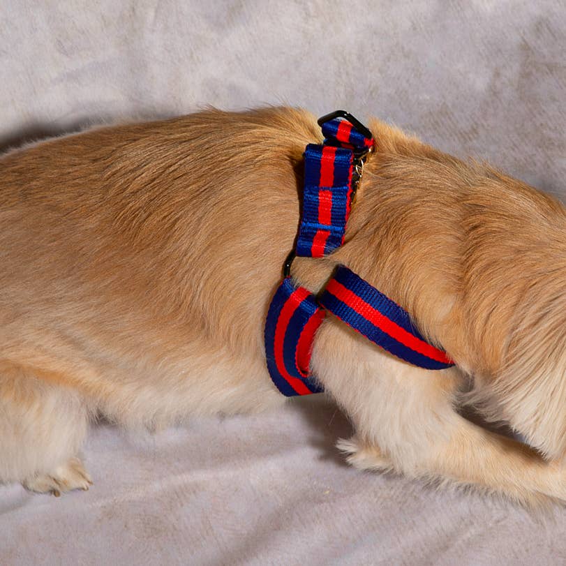 Saint Rue - Wholesale Pet Harness - Dog - Le Classic Dog Harness0