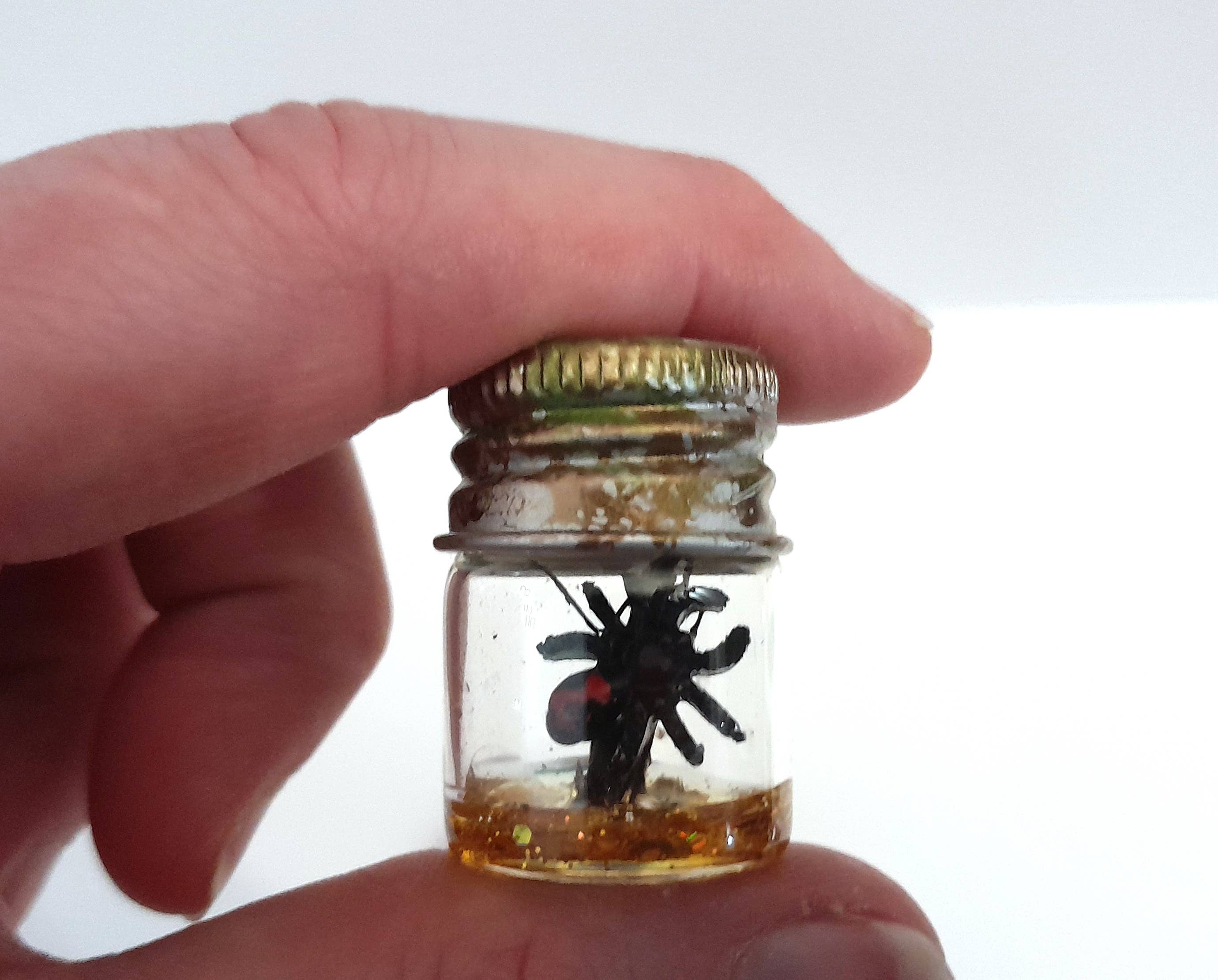 SUPERAWWWSOME - Wholesale Decorative Jar - Spider Specimen Bottle Black Widow Dollhouse Mini Halloween2