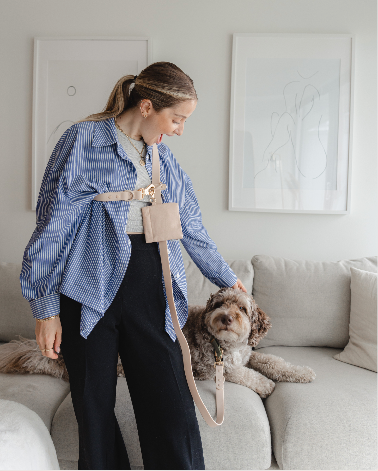 dexypaws – wholesale Hundkoppel - Hund – Handsfree koppel i beige5