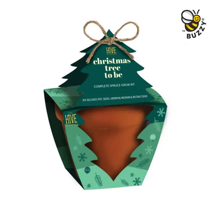 Kit de culture de sapin de Noël Holiday Spruce – Cadeau d'intérieur pour la vente par Buzzy Grow Gifts