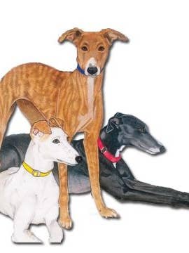 Imán de galgo de madera para venta al por mayor de Pipsqueak Productions