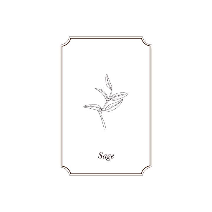 Napiers - Wholesale Essential Oil - Napiers Clary Sage Essential Oil1