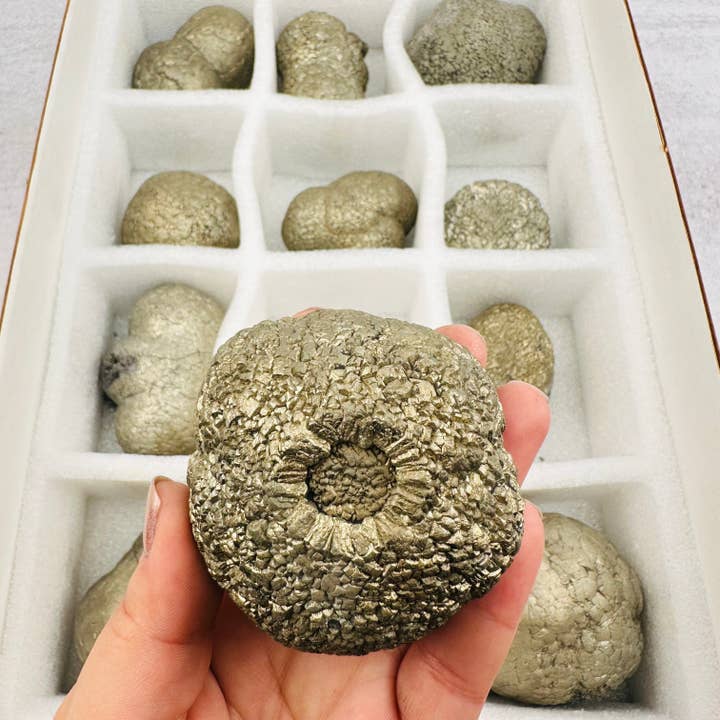 Crystal Pyrite Nodule Samlerstykke af høj kvalitet for engroshandel hos Rock Paradise