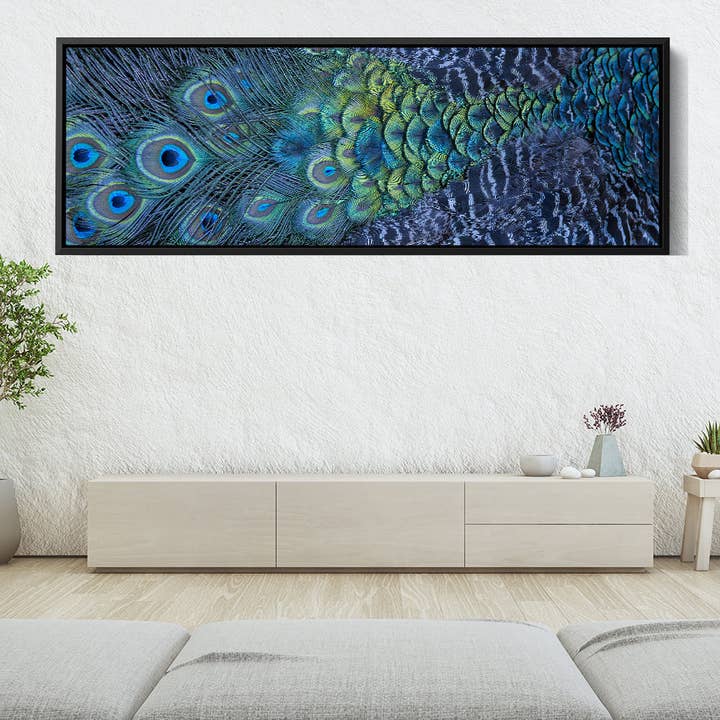 Plumes de paon pour la vente par Meeko Print