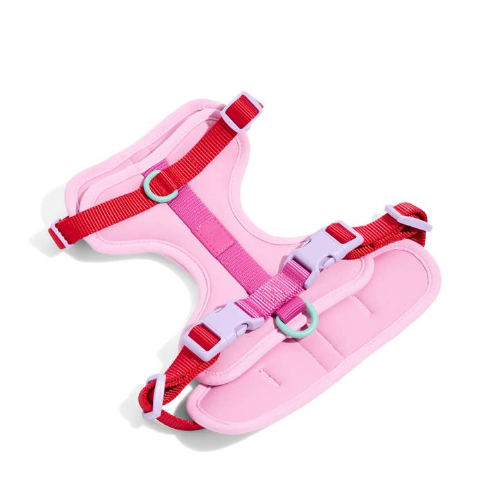 Wild One - Wholesale Pet Harness - Dog - Harness3