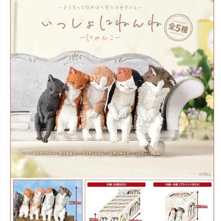 BB0071AS BLIND Issho ni Nenne Cat Box of 10 for wholesale by SPOON INC