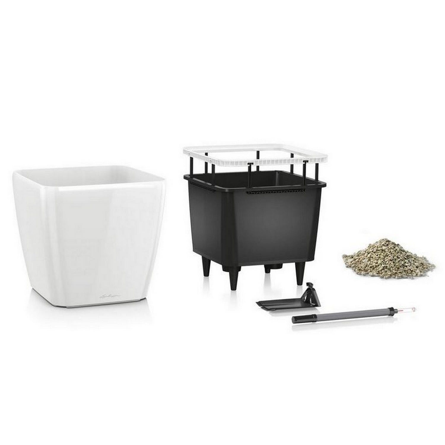 Lechuza Self Watering Planters - Vendita all'ingrosso Vasi per piante - Fioriera quadrata LECHUZA QUADRO LS Poly Resin24