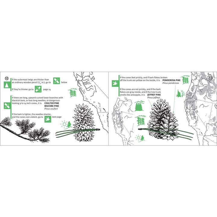 Microcosm Publishing & Distribution - Wholesale Book - Adult - Pacific Coast Tree Finder: Manual to Identify Trees (Zine)