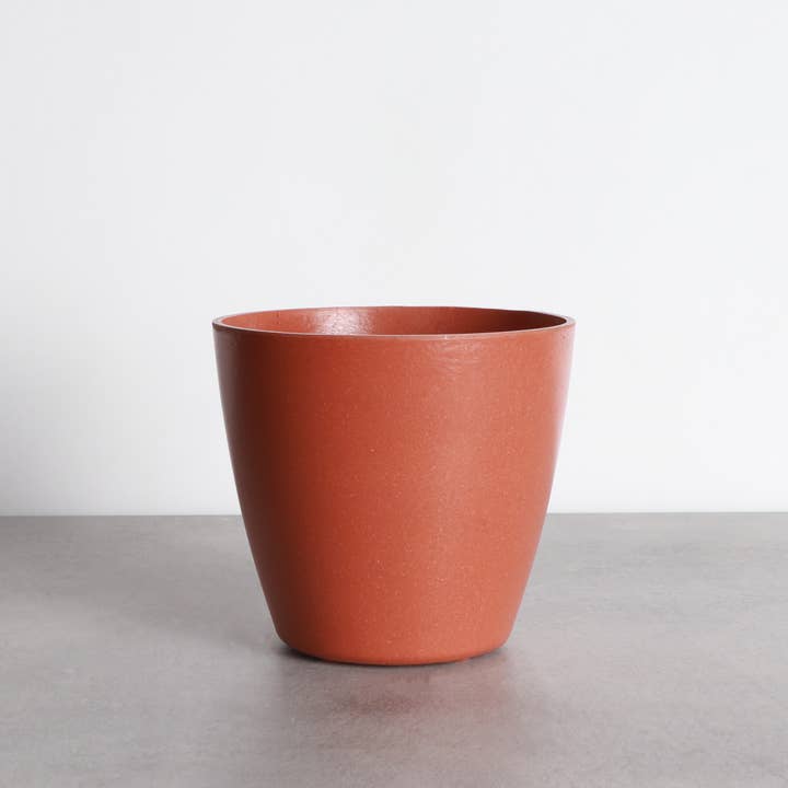 Thorsen's Greenhouse - Wholesale Plant Pot - 4" Decorative Biodegradable Pot for Plants