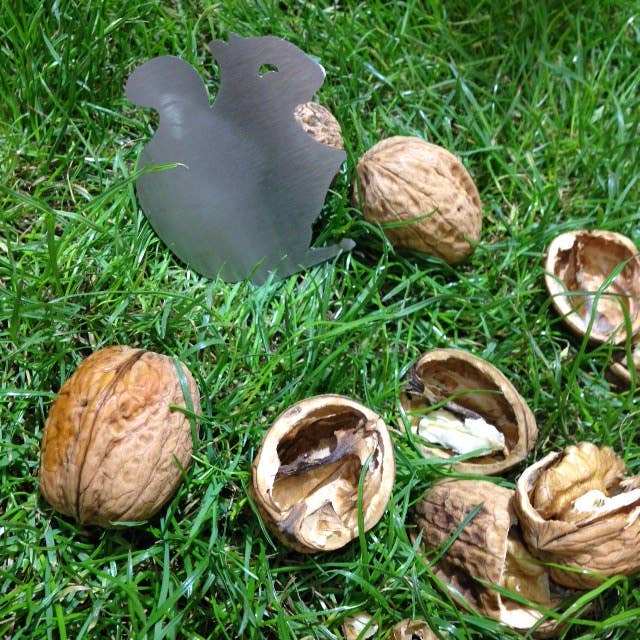 STILIC FORCE - La boutique du futur - Wholesale Kitchen Tool/Gadget - Walnut Squirrel5