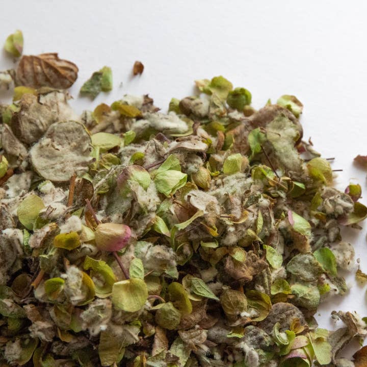 Greek Superherbs - Vente Thé en vrac - Dictame de Crète (Crète)3