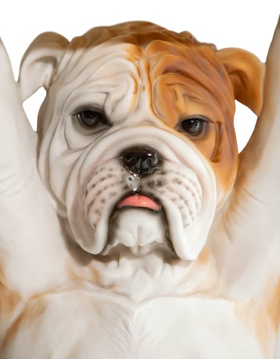 McGowan & Rutherford Ltd – mesa de apoio por atacado – Mesa de apoio Bulldog Holding “Trunk Slice”1