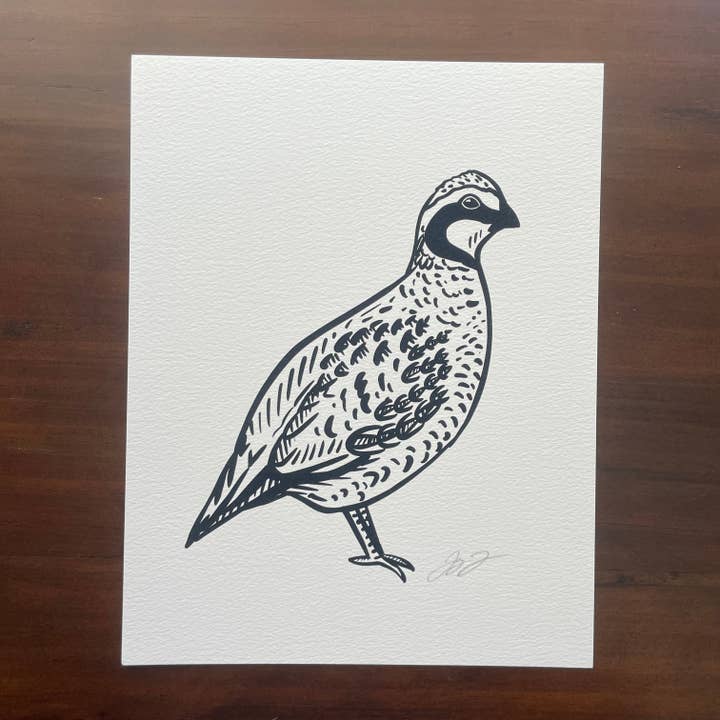 Open Edition: Simple Bobwhite Print for wholesale by Jaybo Art