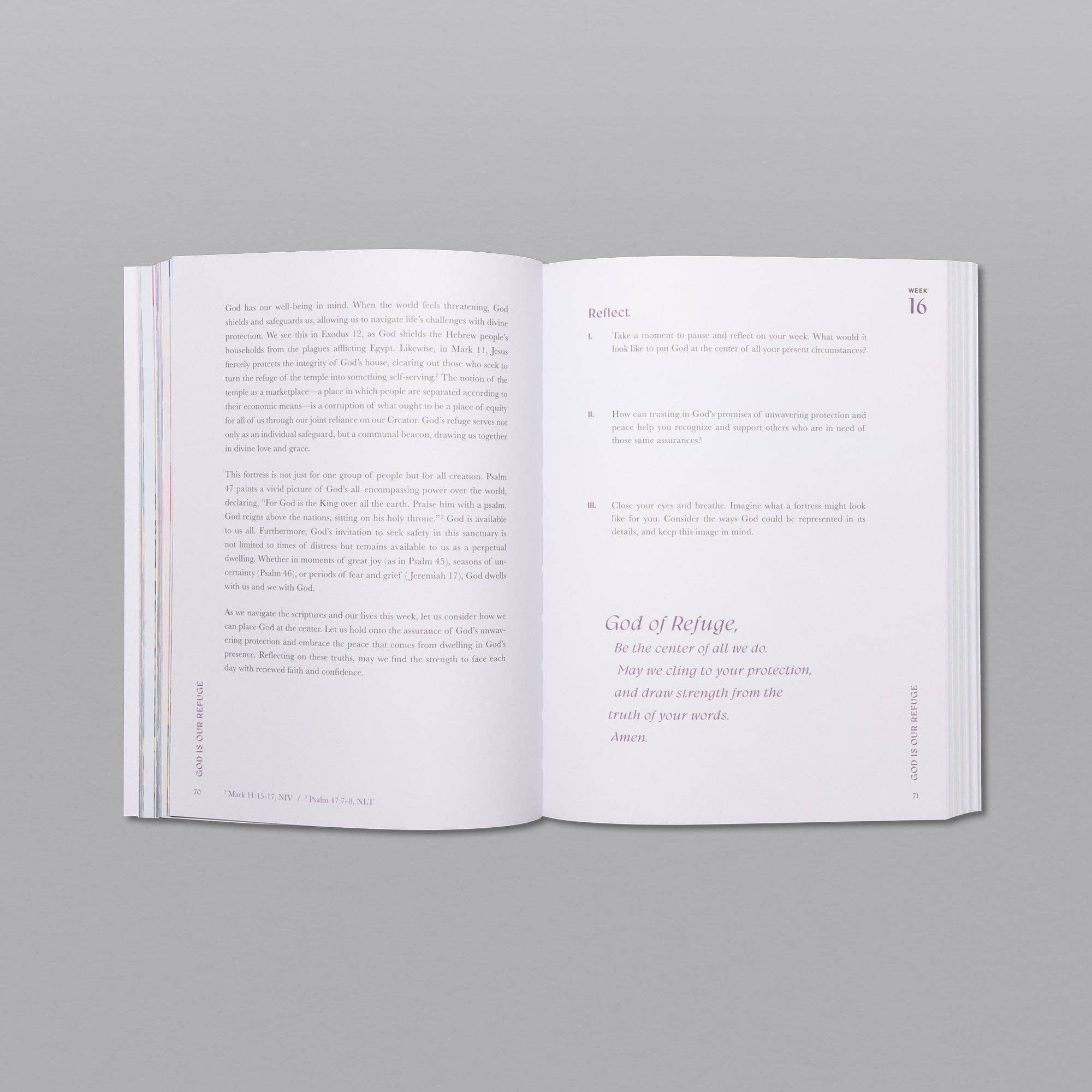 Alabaster Co - Wholesale Religion Book - A Beautiful Year in the Bible: The 52-Week Bible Study for Women4