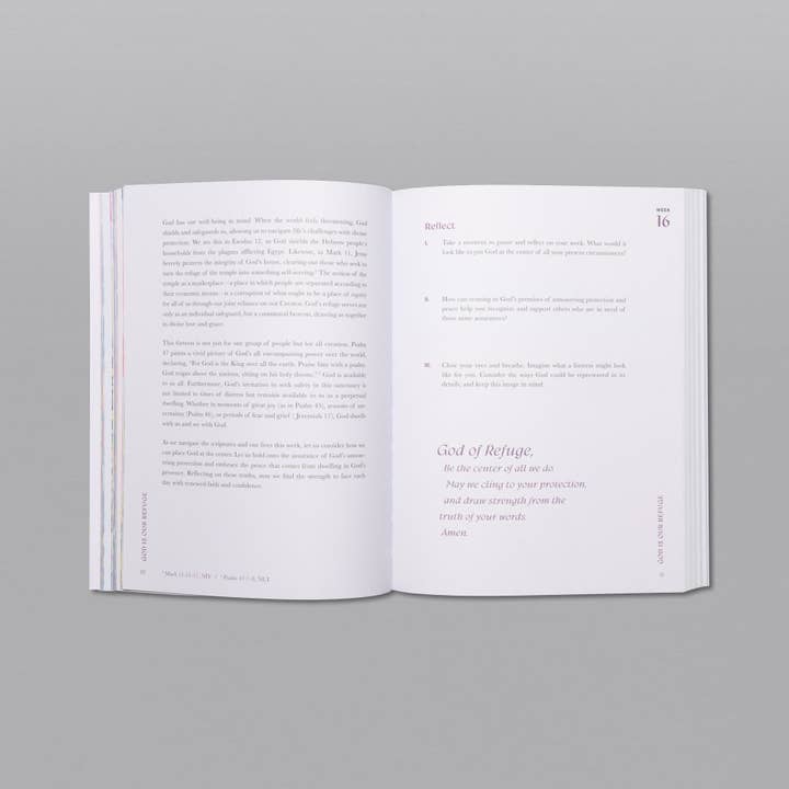 Alabaster Co - Wholesale Religion Book - A Beautiful Year in the Bible: The 52-Week Bible Study for Women4