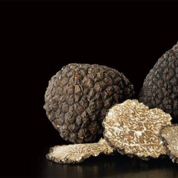 Zia Pia - Wholesale Dried Spice - Whole Summer Truffle by Giuliano Tartufi1