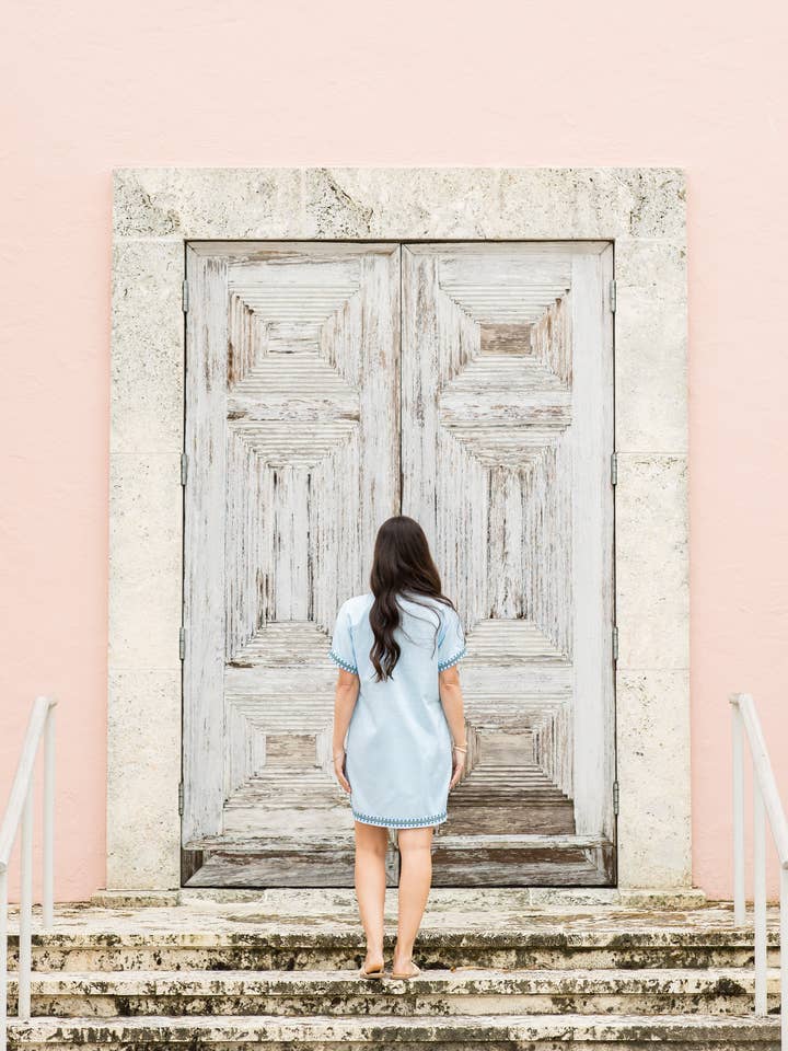 The Coastal Crane - Wholesale Dress - Women's - Abigail Mini | Palm Beach