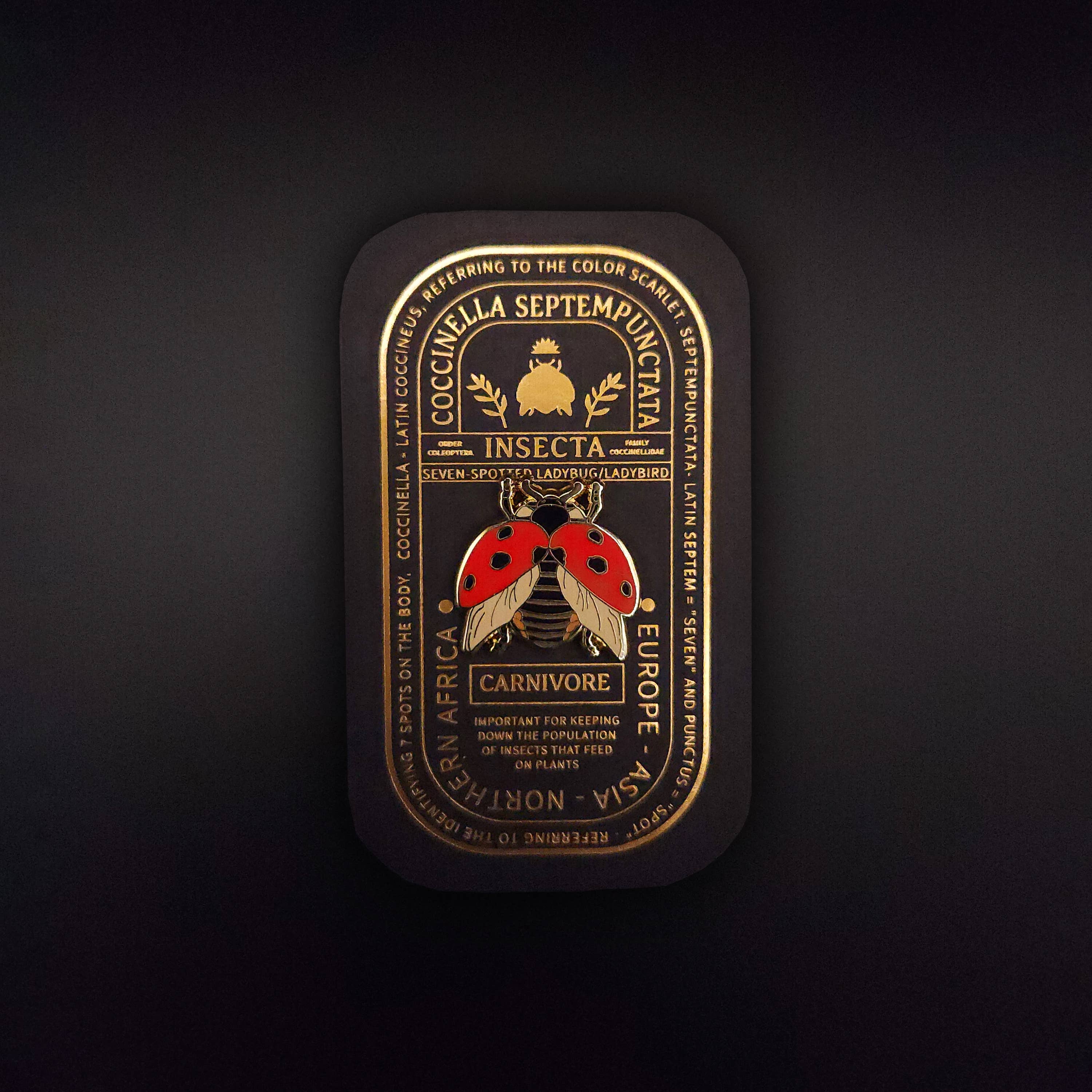 Pinsects – wholesale Lapel pin/button – Seven-Spotted Ladybug Educational Insect Enamel Pin4