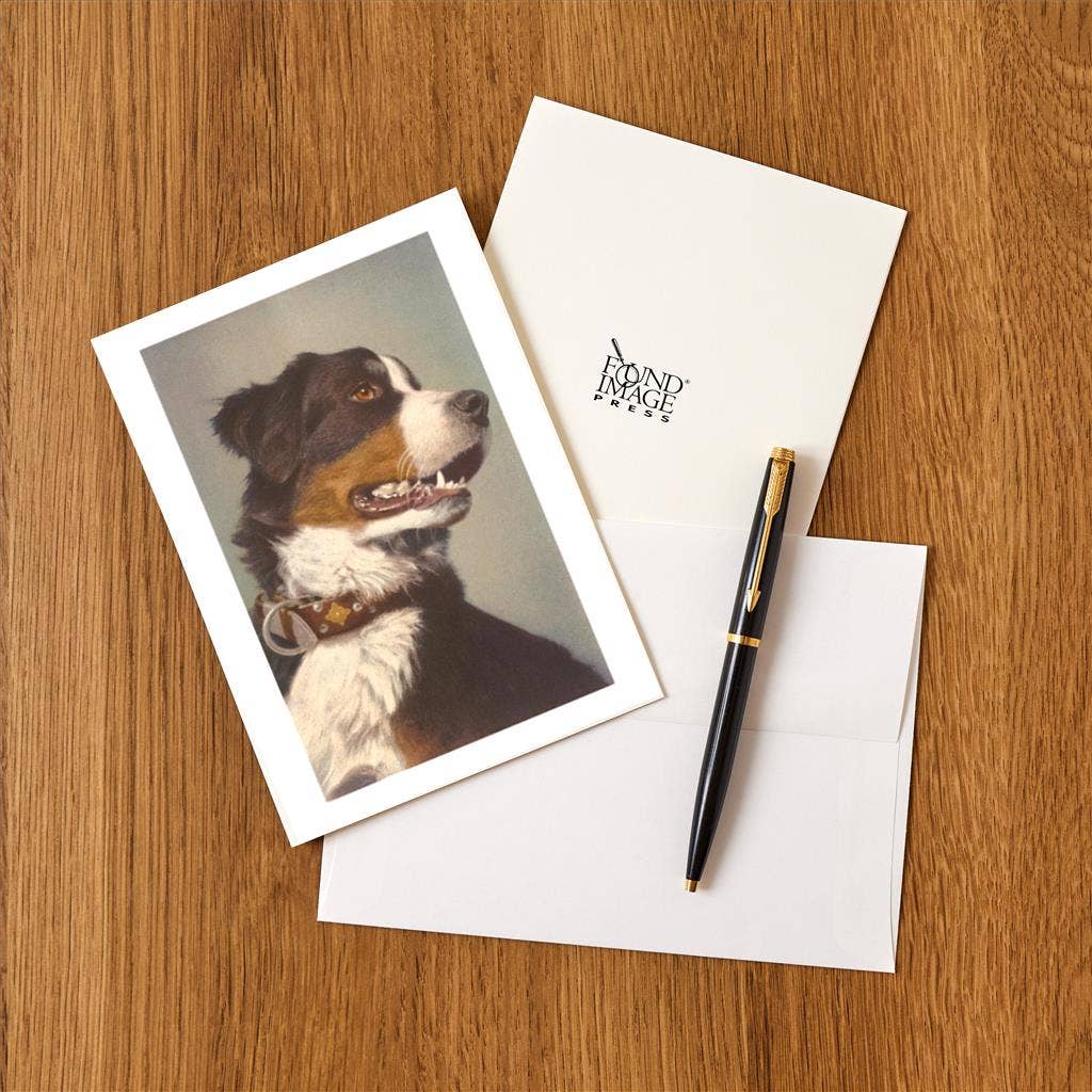 Found Image Press - Wholesale Stationery/Notecard Set - Greeting Card DG-58 Bernese Dog with Collar1