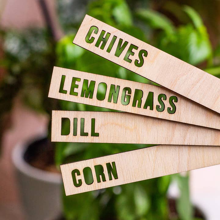 The Print Pantry - Vente Piquets de jardin/pelouse - Marqueurs de nom de plantes en bois3