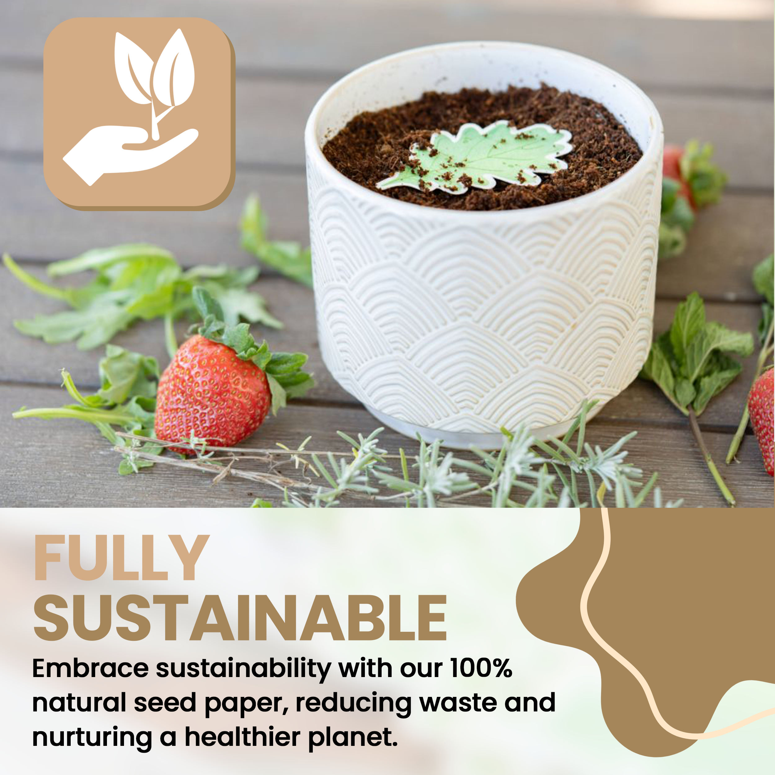 ToyBoxTown – Großhandel Pflanzensamen – Samenpapier zum Anpflanzen von Rucola, 10 Stück5