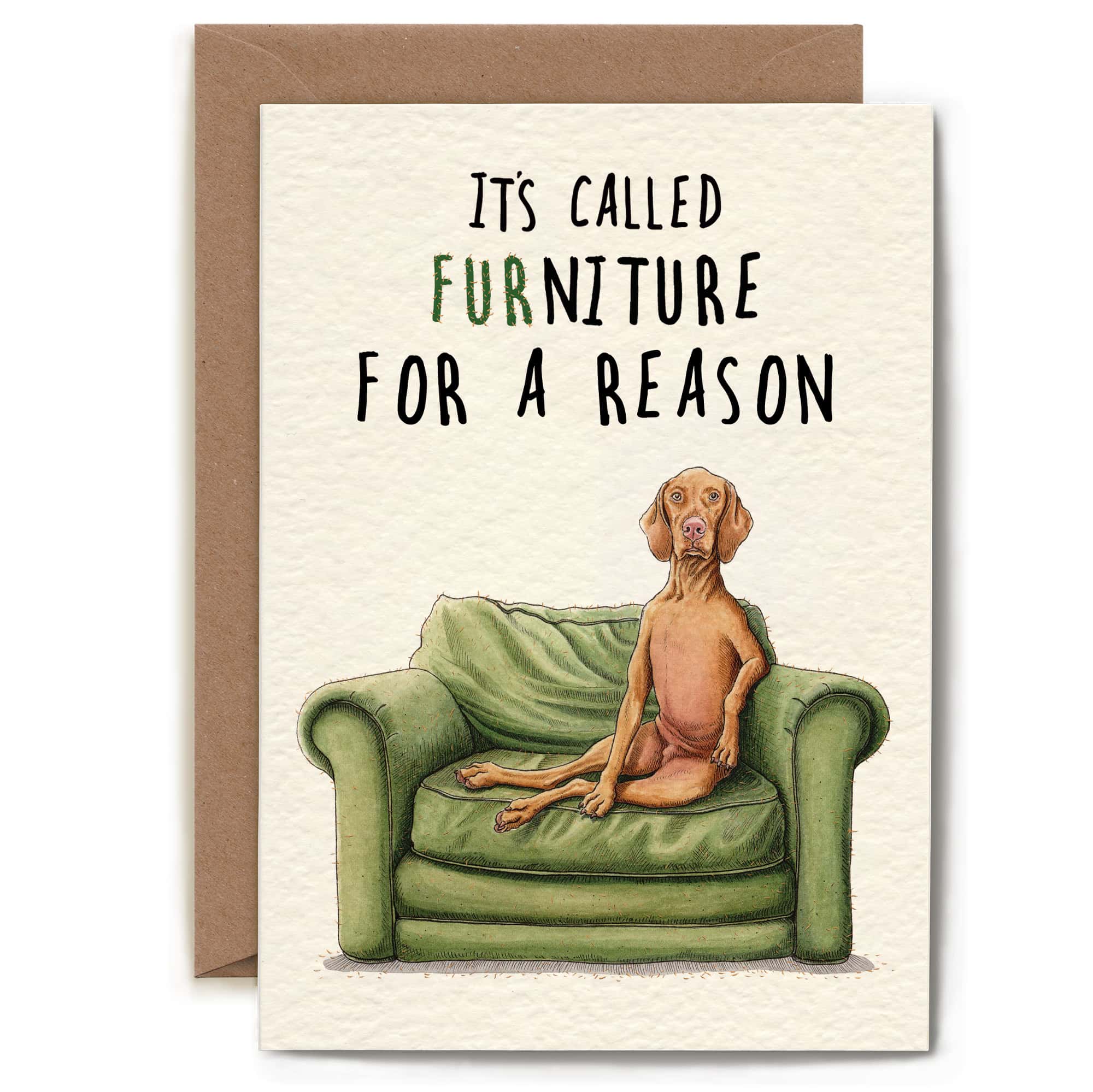 Bewilderbeest - Wholesale Everyday Greeting Card - Furniture Dog Card - Everyday Card - Funny1