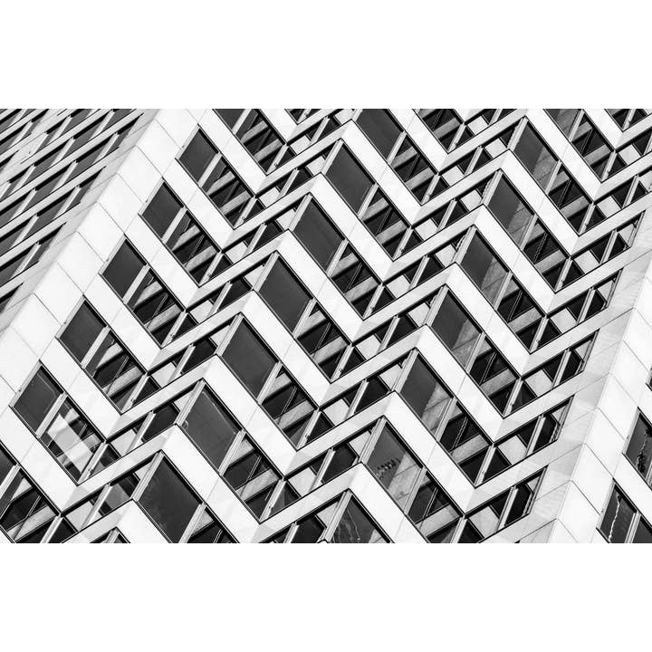 Interwoven Bw Fine Art Print for wholesale by Christi Kraft Photography