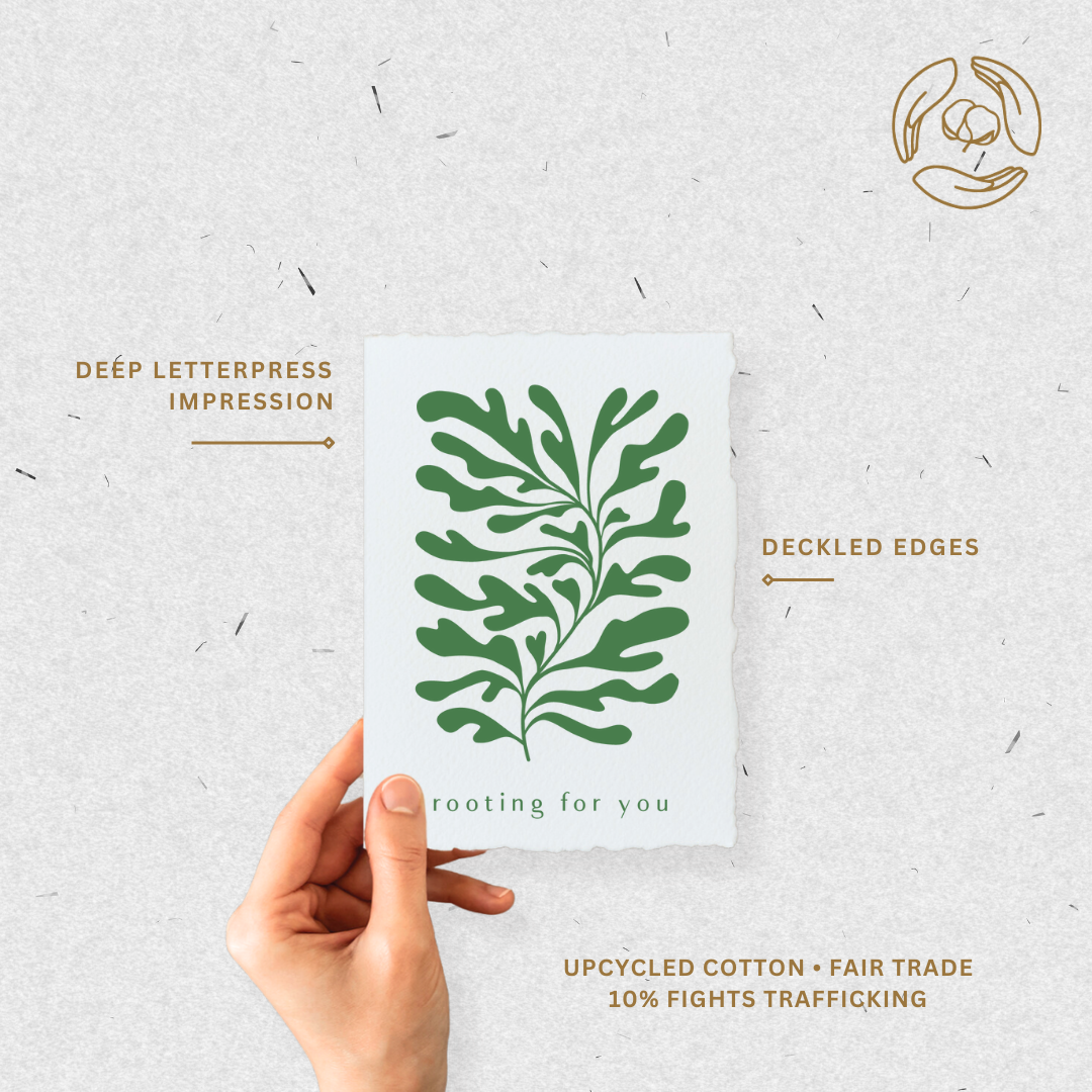 Paper Baristas - Vente Cartes d'encouragement - Carte de vœux Rooting for You | Plant Shop3