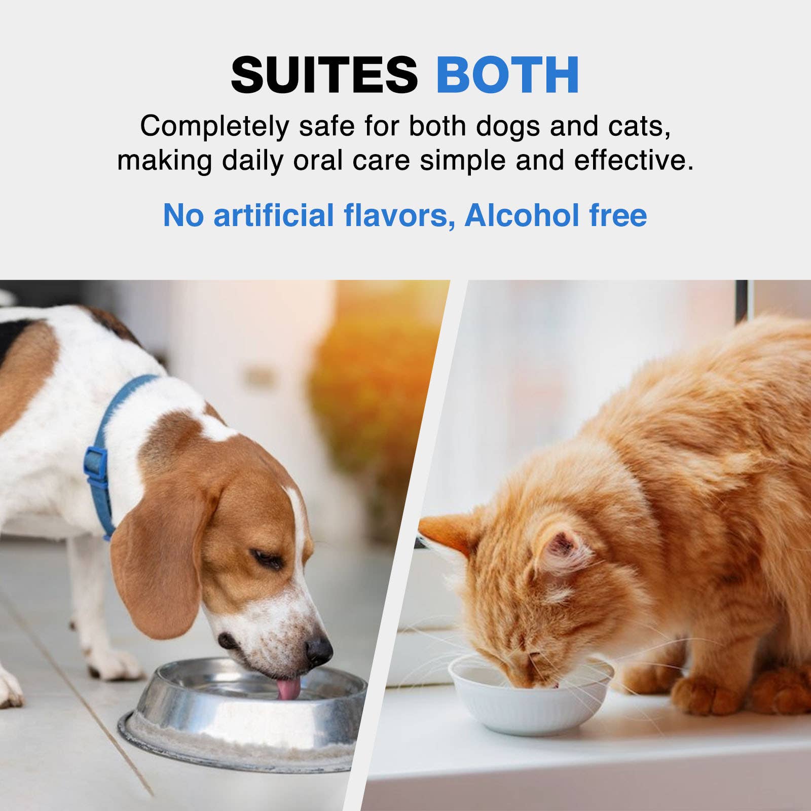 Enviro Fresh – Engroshandel Supplement til kæledyr - Kat/hund – Slurp N' Fresh - Mundplejetilsætning til kæledyr 100 ml3