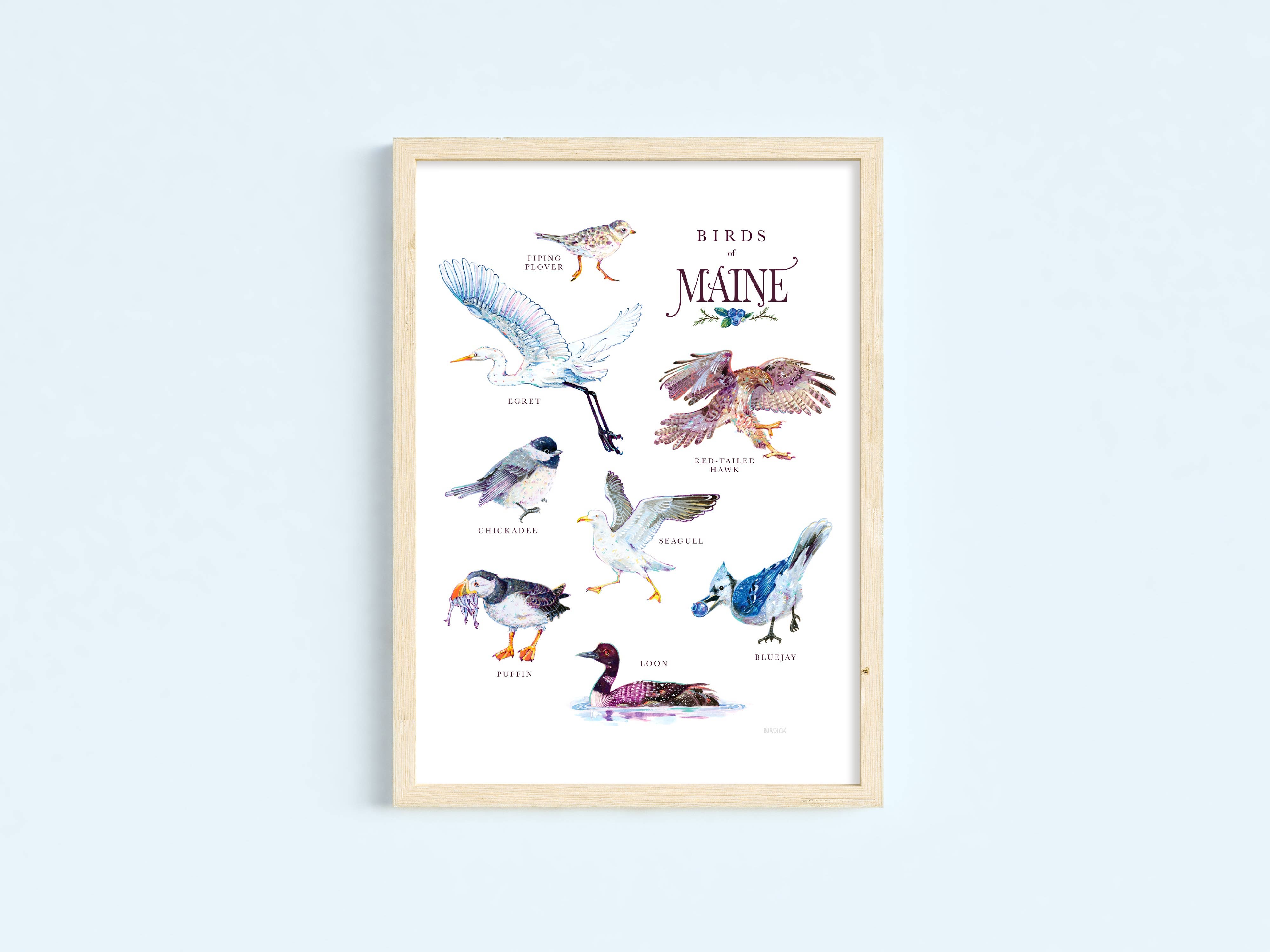 Liz Burdick Arts - Wholesale Art Print - Birds of Maine 11x14 print