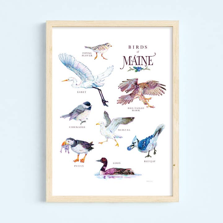 Birds of Maine 11x14 print for wholesale by Liz Burdick Arts