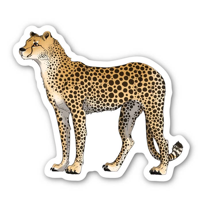 Cheetah Animal Sticker for wholesale by Big Moods