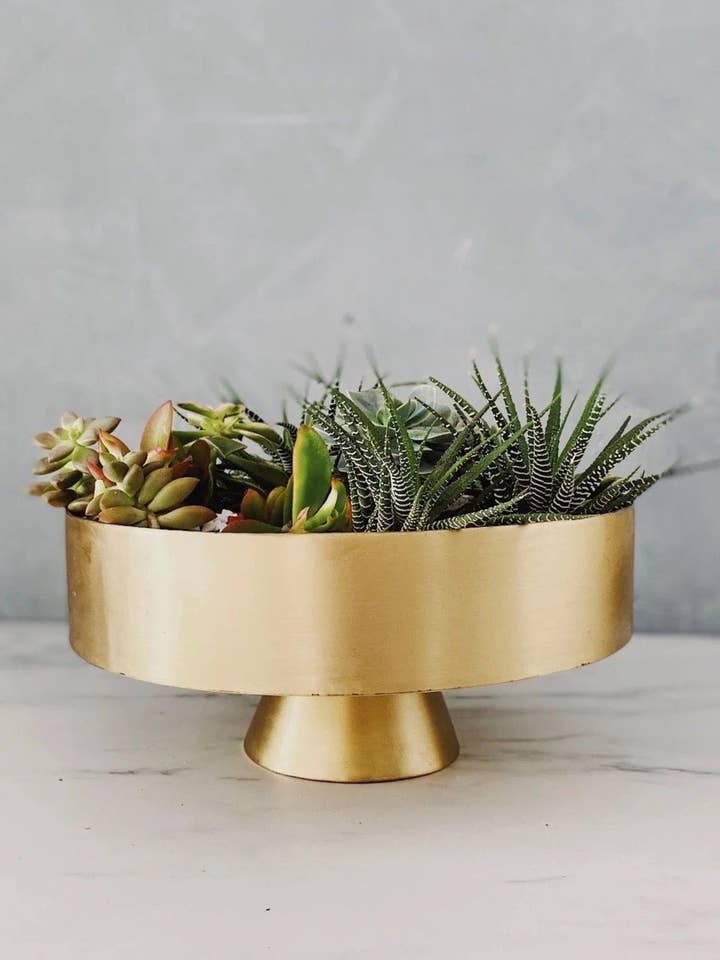 Rola Mid Century Shallow Cylinder, succulente koperen komvaas voor wholesale door Sawah Botanical
