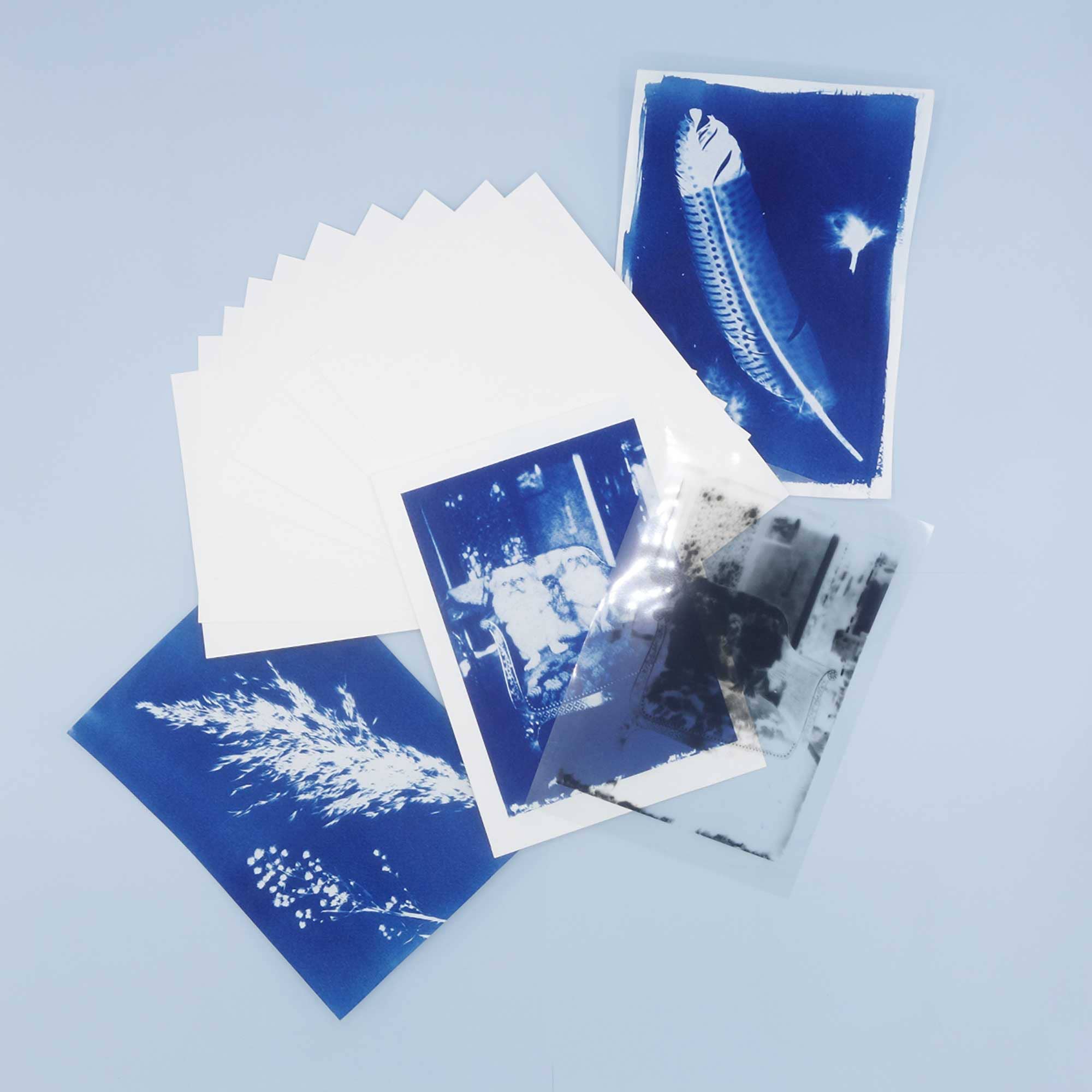 PAR - Wholesale DIY Craft Kit - DIY Cyanotype & Van Dyke Kit - Paper4