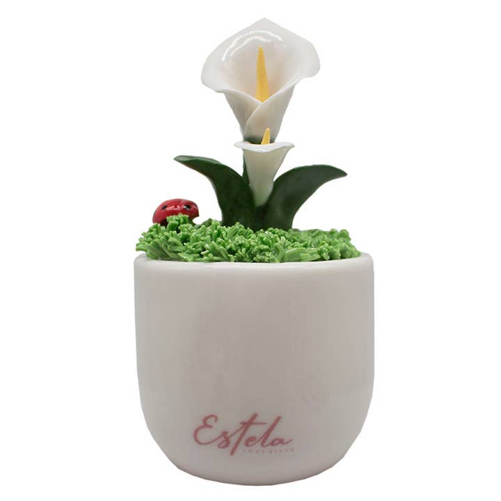 Soportes de cerámica para venta al por mayor de Roa Enterprise SRL