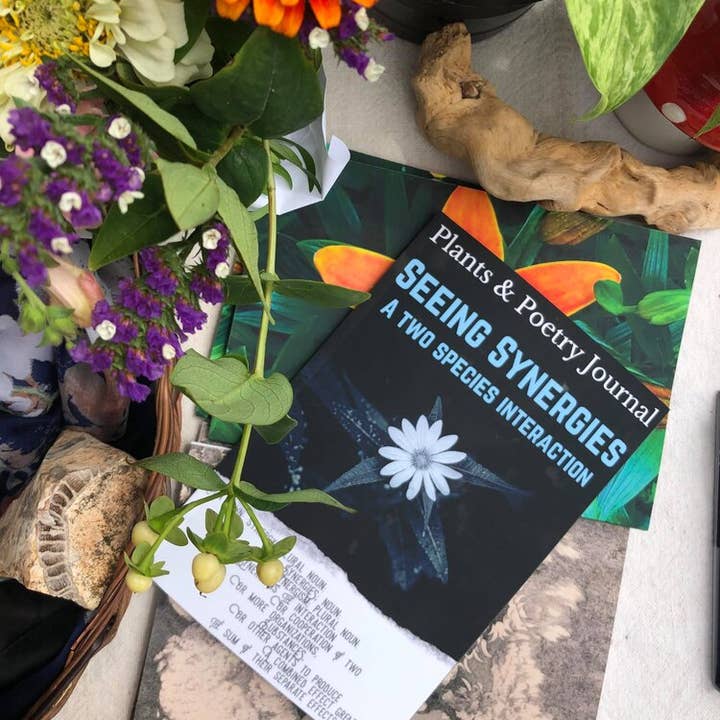 Vedere le sinergie, un'interazione tra due specie per la vendita all'ingrosso da parte di Plants & Poetry