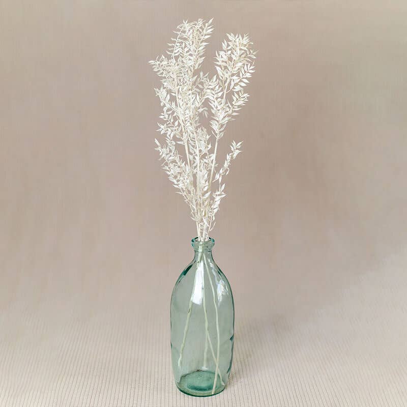 You Floral - Wholesale Dried/Pressed Flowers - Preserved Ruscus - 5 stems0