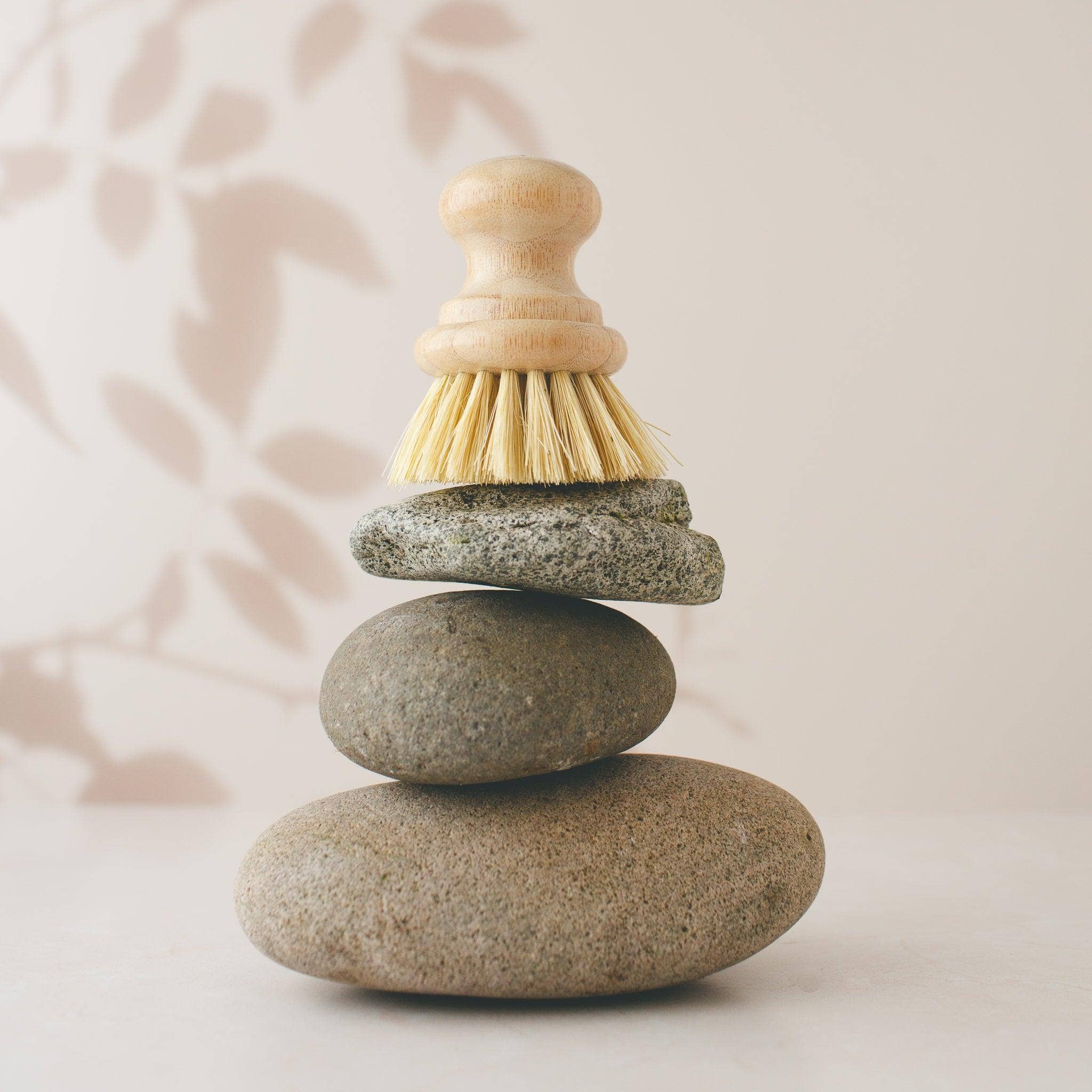 Simple Alchemy Co - Wholesale Cleaning Brush - Compostable Dish Brush2