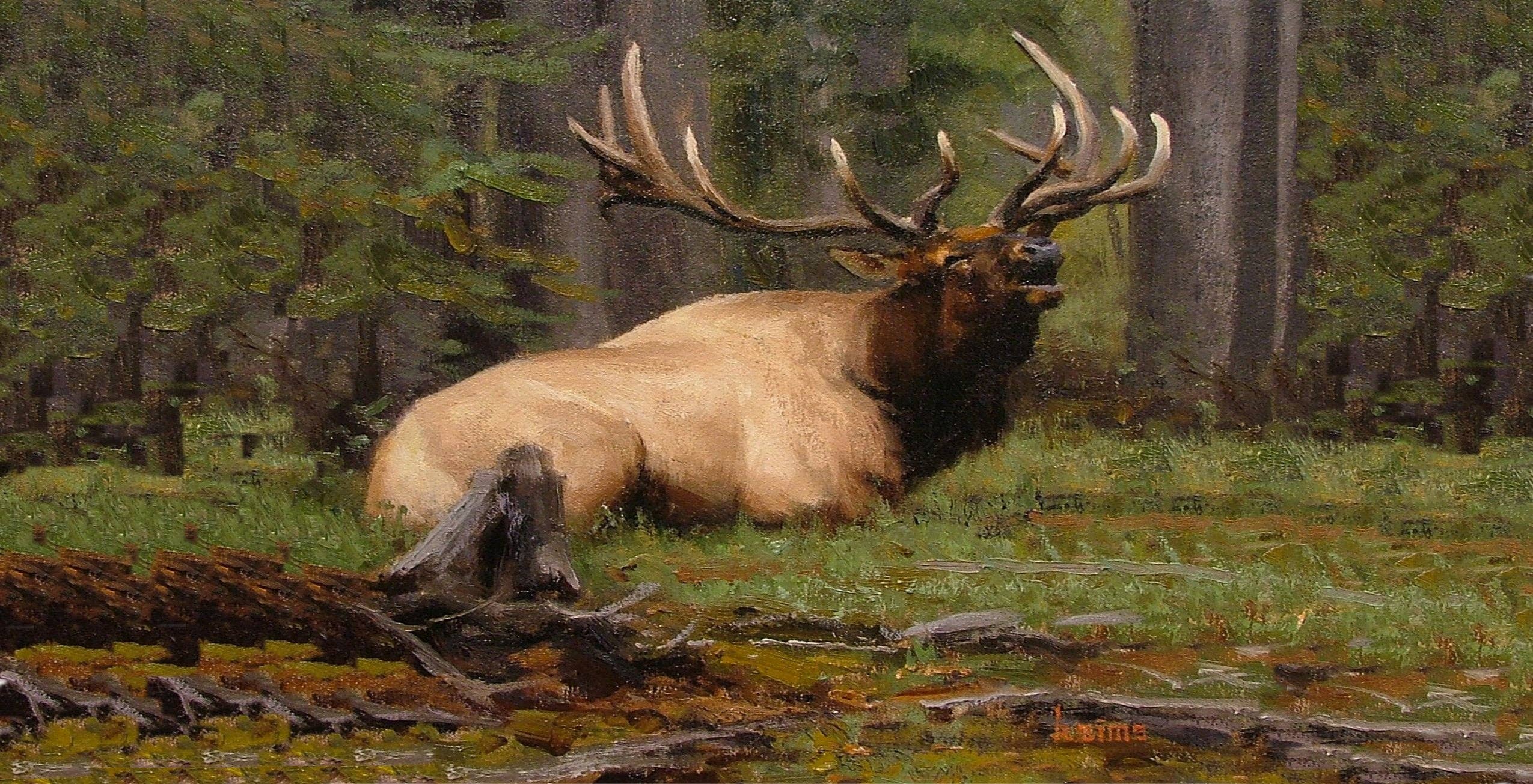 Natures Window - Wholesale Coffee Mug - DOWN BUT NOT OUT ELK COFFEE MUG by KYLE SIMMS1