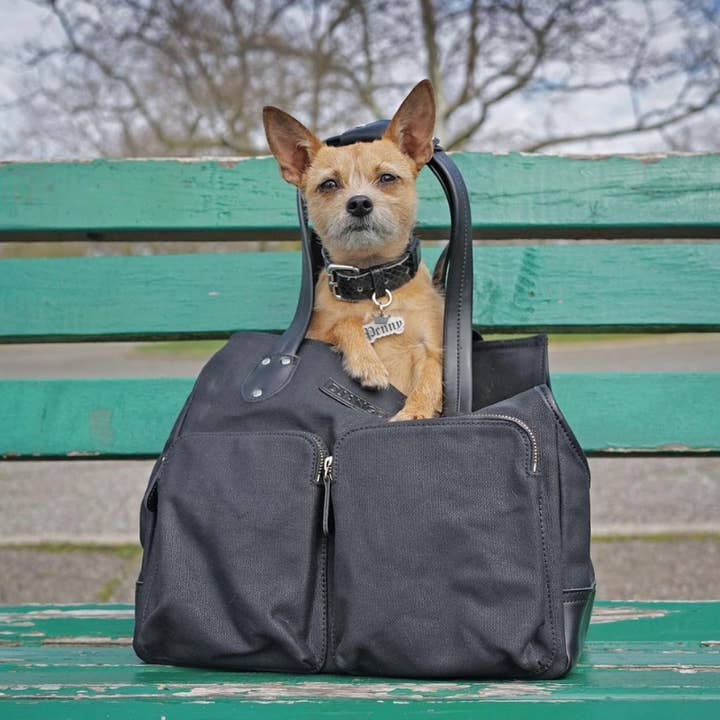 DJANGO - Wholesale Pet Carrier - Dog - Dog Carrier Bag - Black Waxed Canvas and Leather13