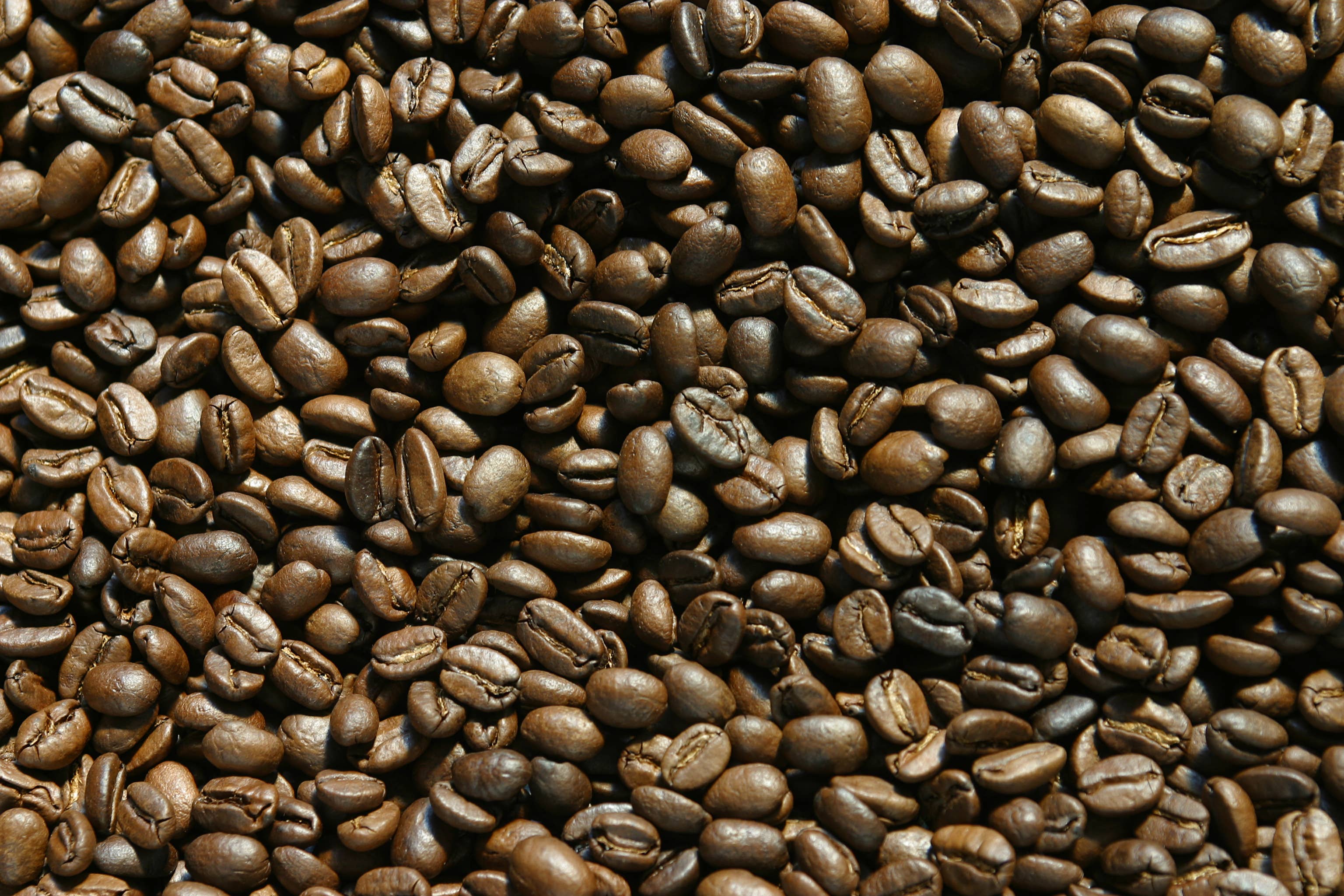 Gourmandise - Wholesale Coffee Beans - Coffee Beans Colombia Compagnia dell´Arabica 250 g.4