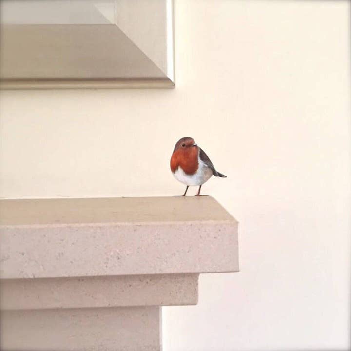 Wonderwallsboutique – wholesale Wall decal/stickers – Whimsical Robin Wall Sticker with Peel and Stick Tech3