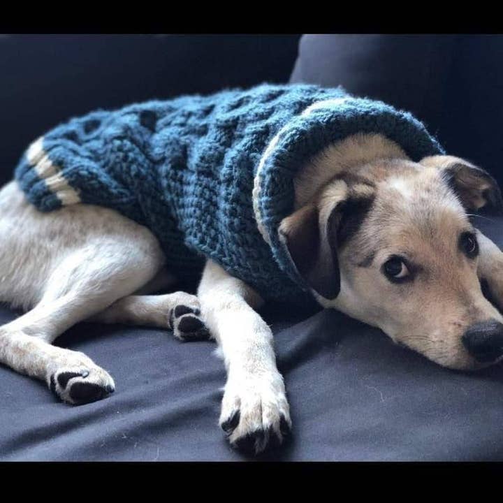 Leni Knits Limited - Wholesale Pet Sweater - Dog - The Original Honeycomb Cable Knit Dog Sweater1