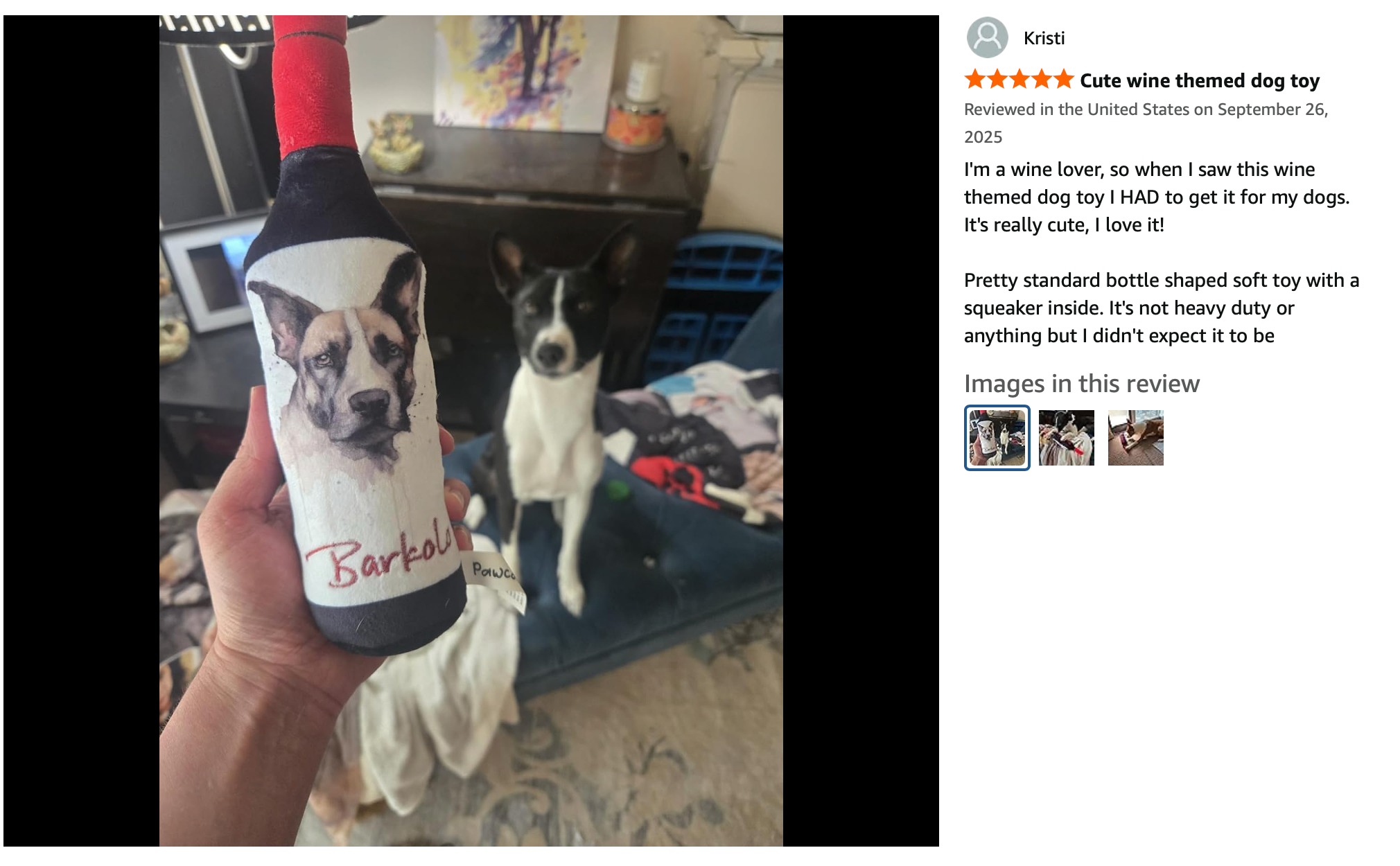 Pawcasso – wholesale Pet plush toy – Dog – Barkolo14