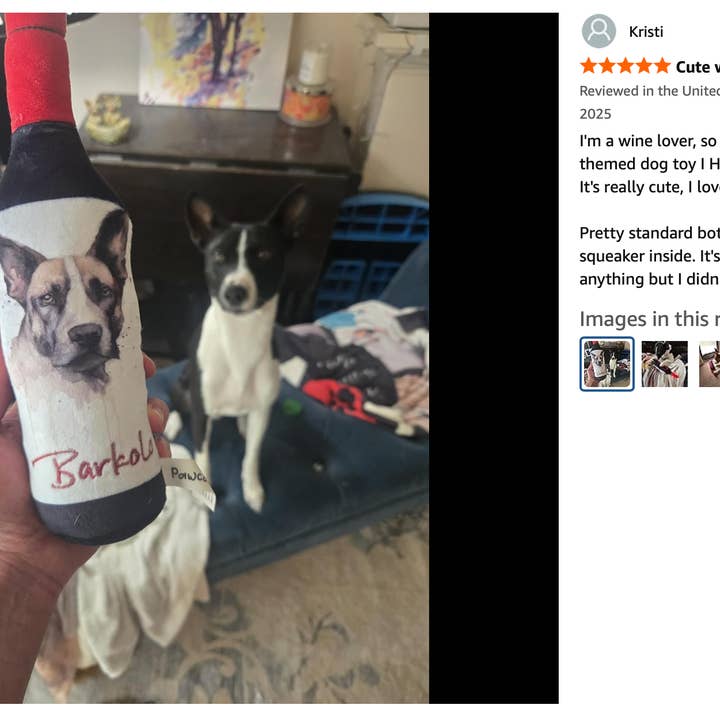 Pawcasso - Wholesale Pet Plush Toy - Dog - Barkolo14