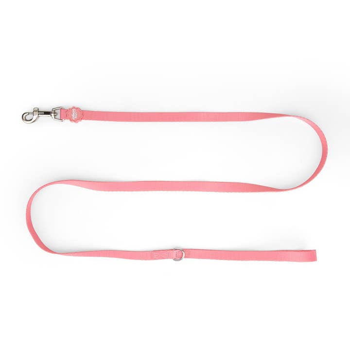 Small Pet Lead for wholesale by Little Ginger