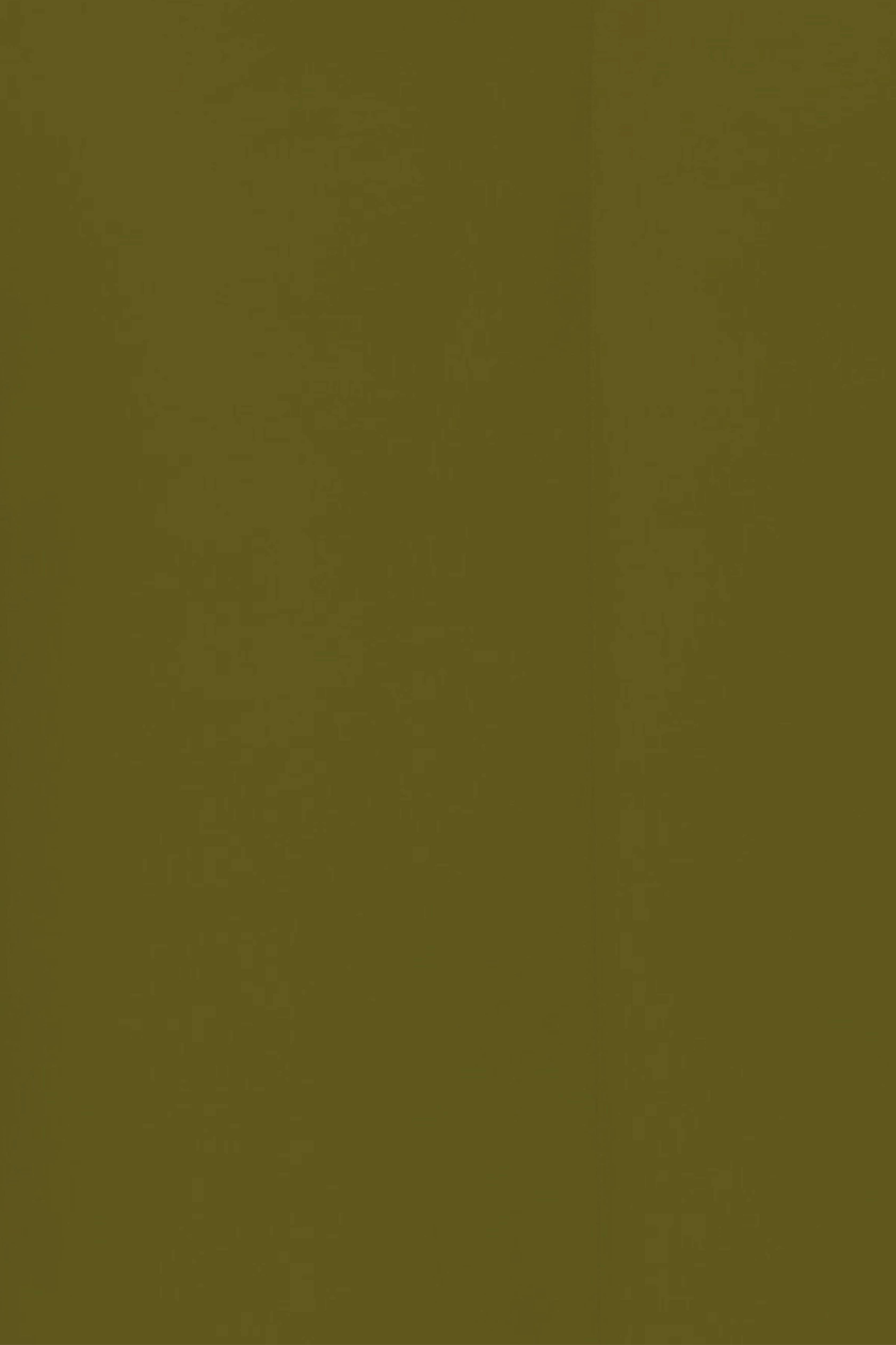 Really Nice Things - Wholesale Headboard - Sage green velvet upholstered headboard 145x74cm1