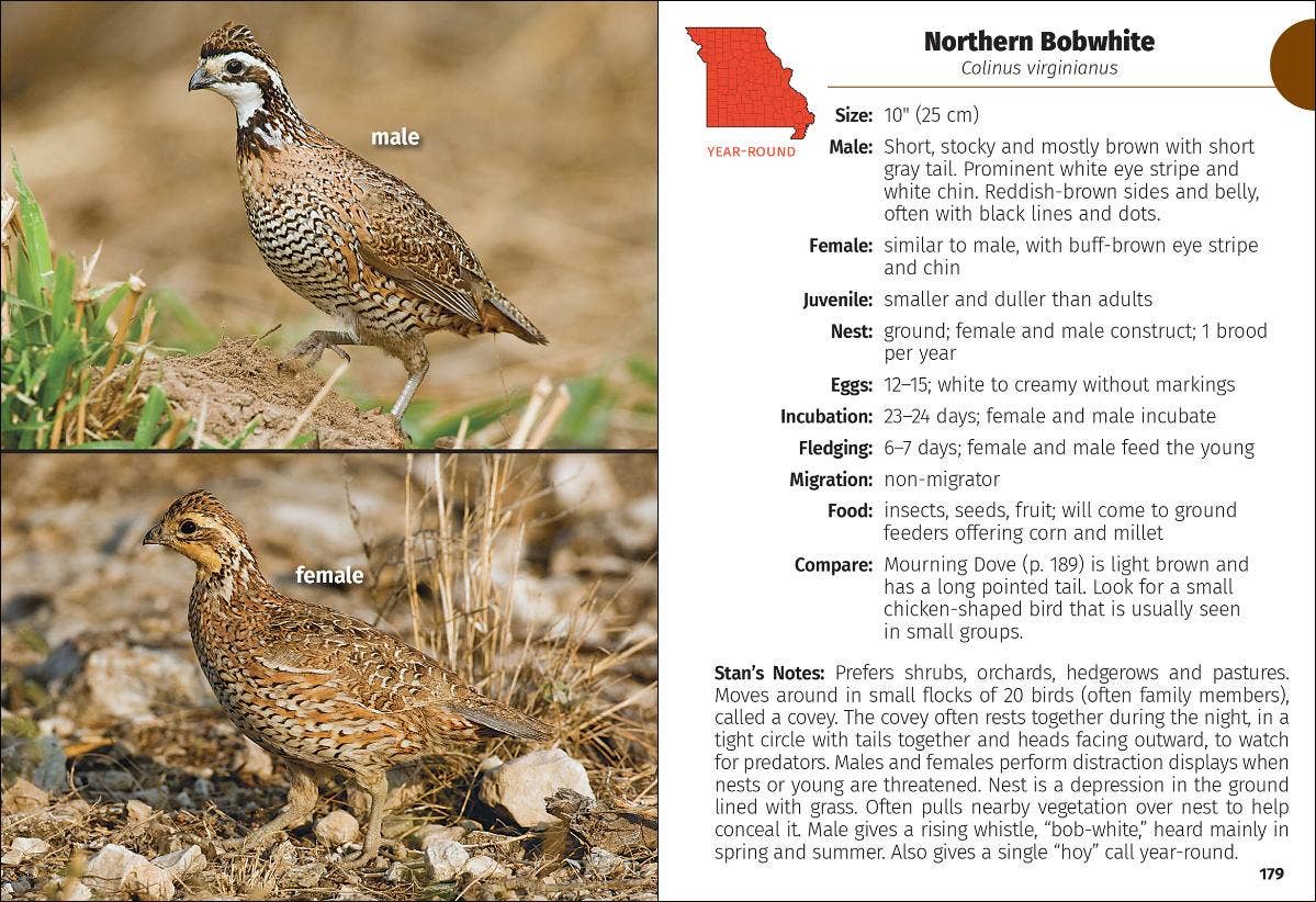 AdventureKEEN - Vente Nature et plein air - Guide de terrain sur les oiseaux du Missouri 2e4