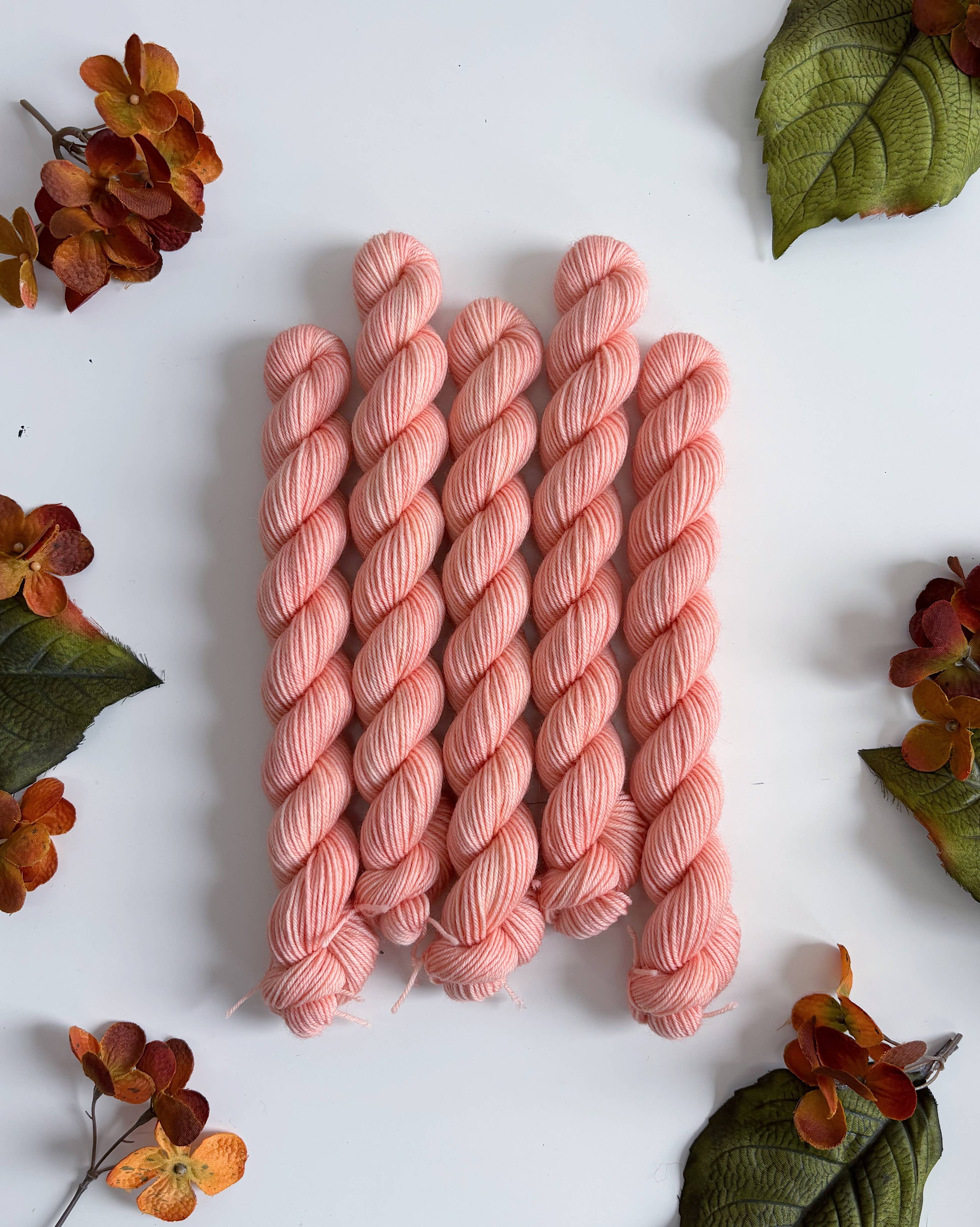 Coates & Co. - Vendita all'ingrosso Lana - Filato Cottage Sock • Mini matassina da 20 g4